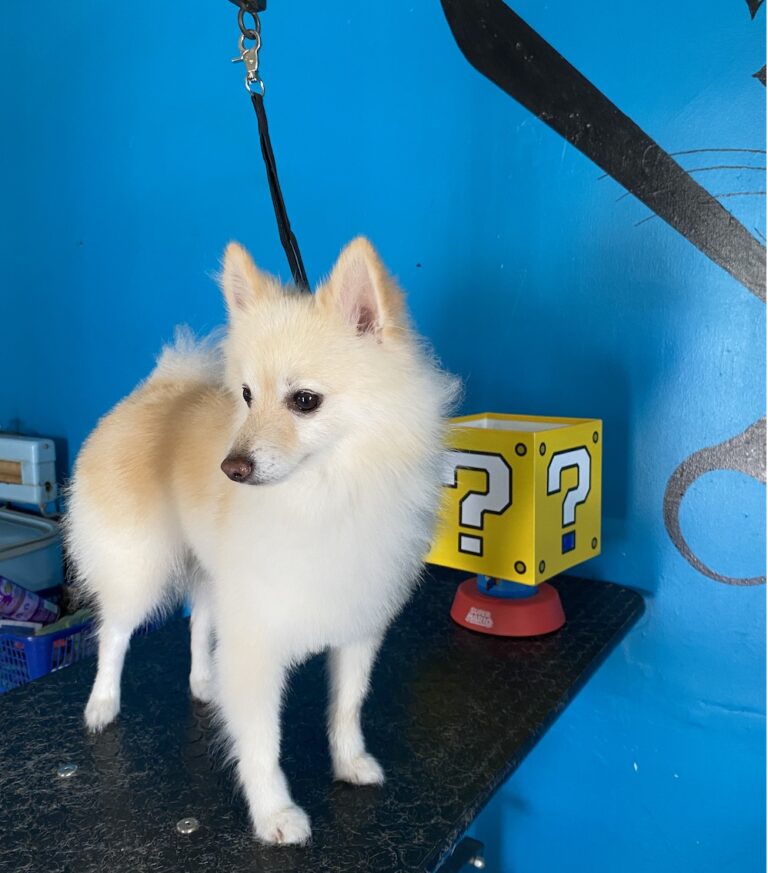 Imagen 25 09 25 a las 10.41 a.m 768x873